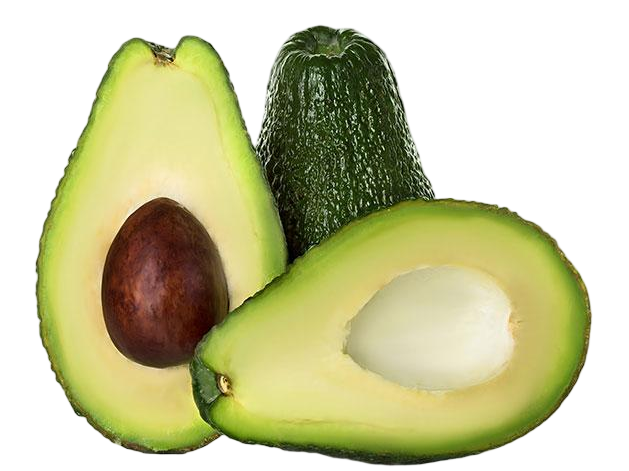 avocado production line