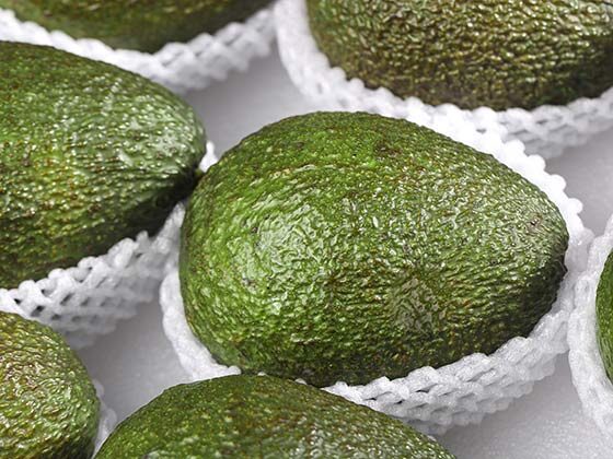 avocado washing waxing line