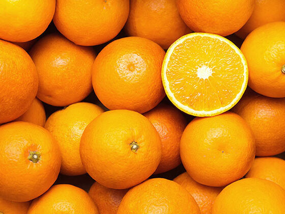 citrus washing waxing sorting line