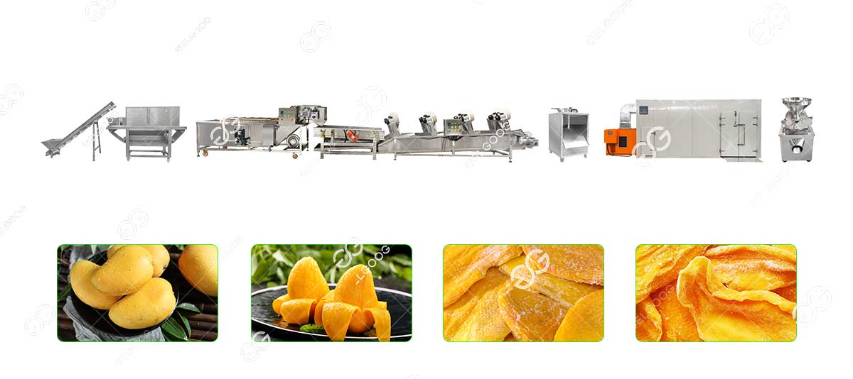 dried mango processing machine