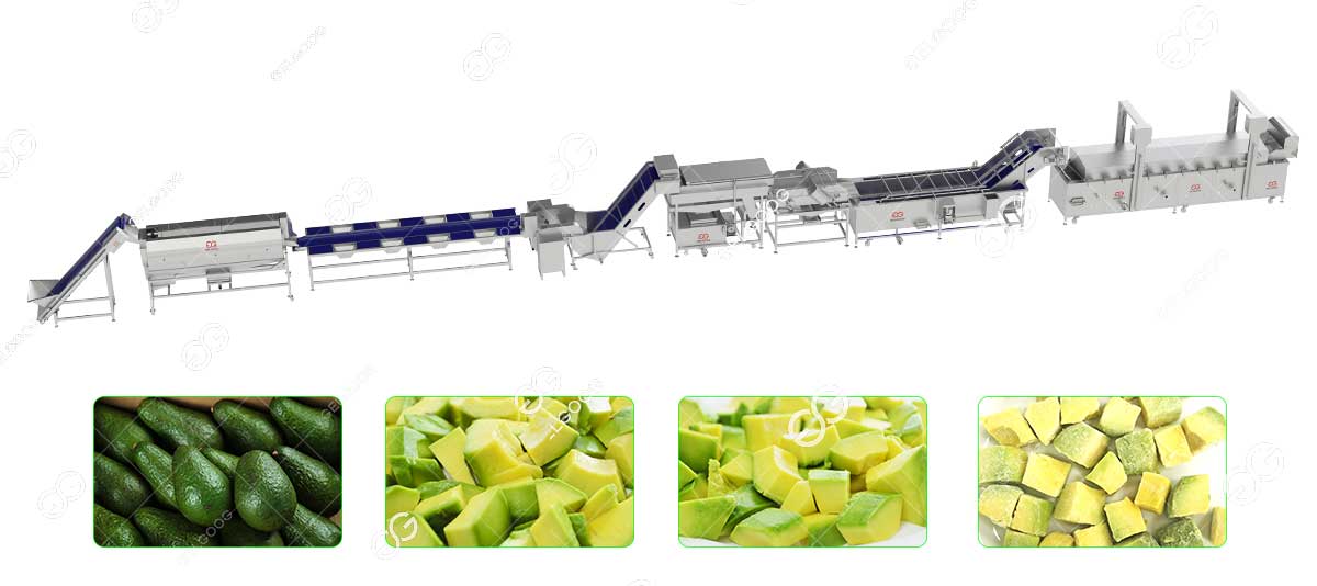 frozen avocado processing
