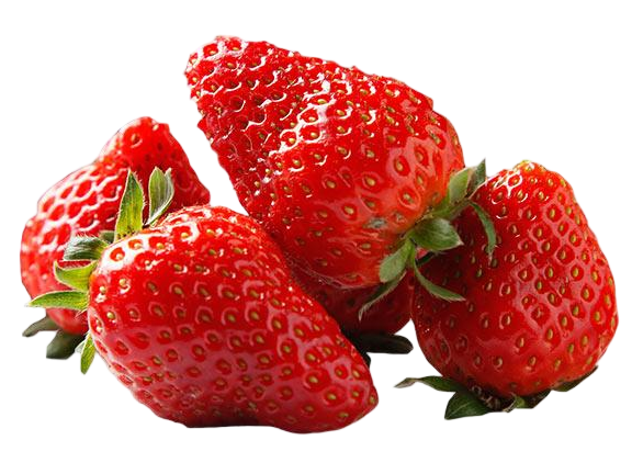 fruit processing line