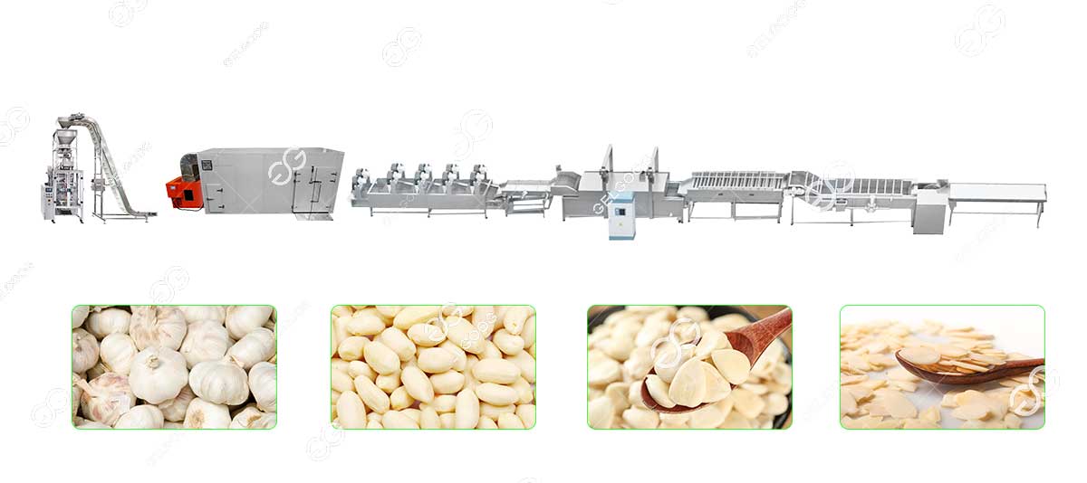 garlic dehydration machine