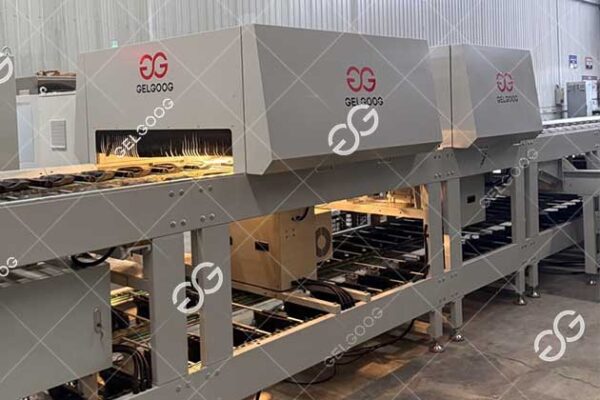 gelgoog fruit sorting machine