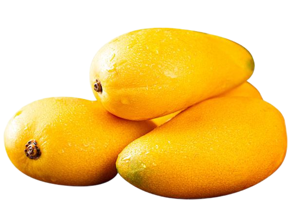 mango processing solution