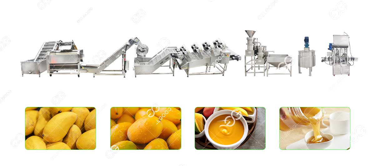 mango pulp processing