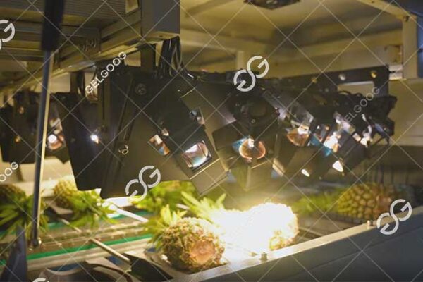 optical sorting machine