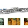 pineapple fruit sorting grading machine 1 10 tons manufacturer