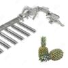 pineapple sorting machine