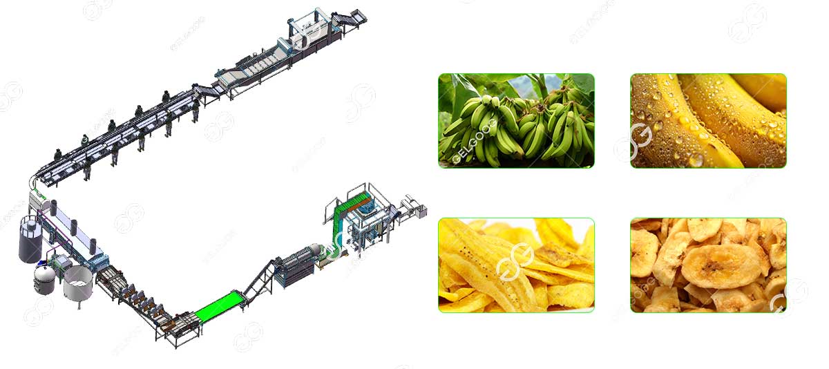 plantain chips production process