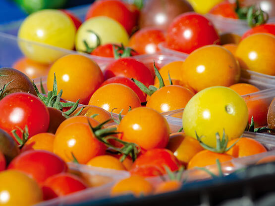 tomato washing sorting line