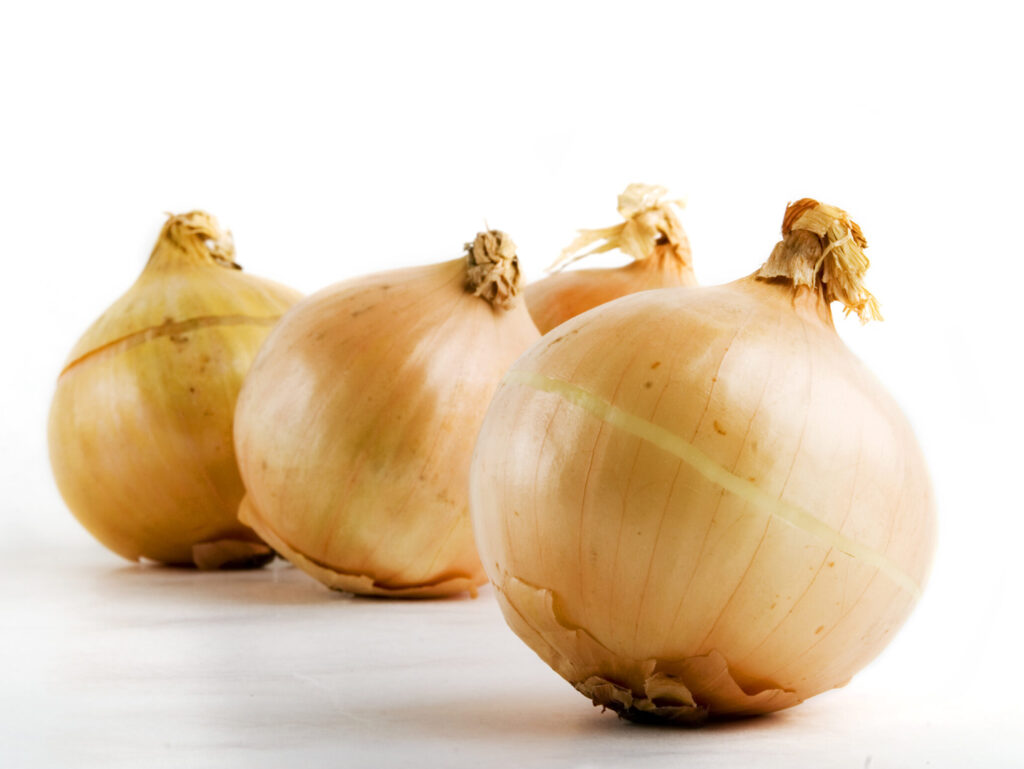 onion group