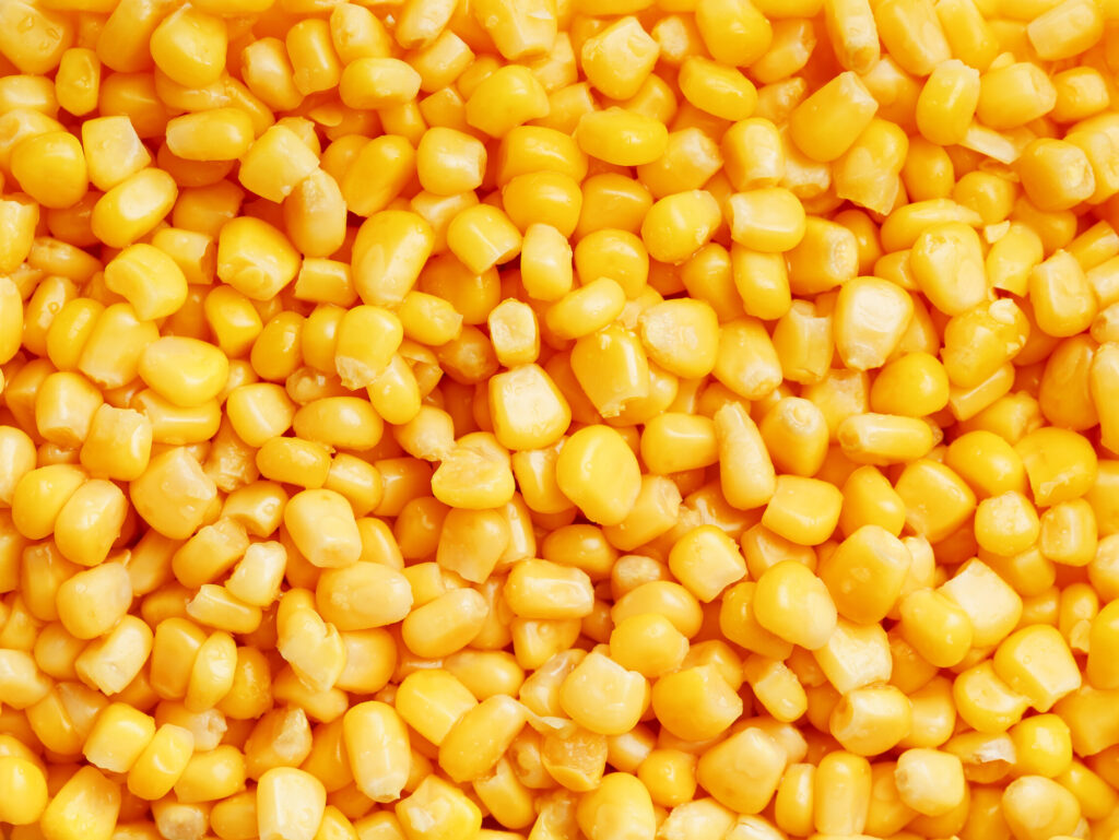 Corn kernels