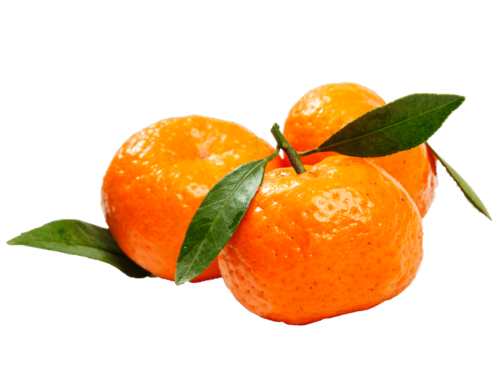 摄图网 400887117 小橘子(企业商用)