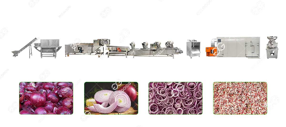 onion dehydration process