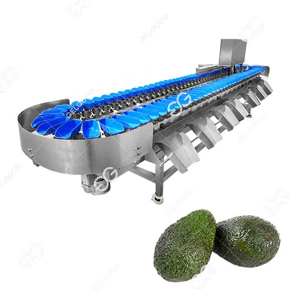 avocado weight grading sorting machine for sale