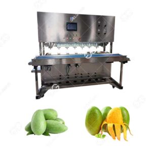 professional mango peeling line machine supplier