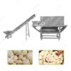 garlic peeling equipment