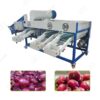 onion grading machine
