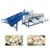 onion sorting equipmen