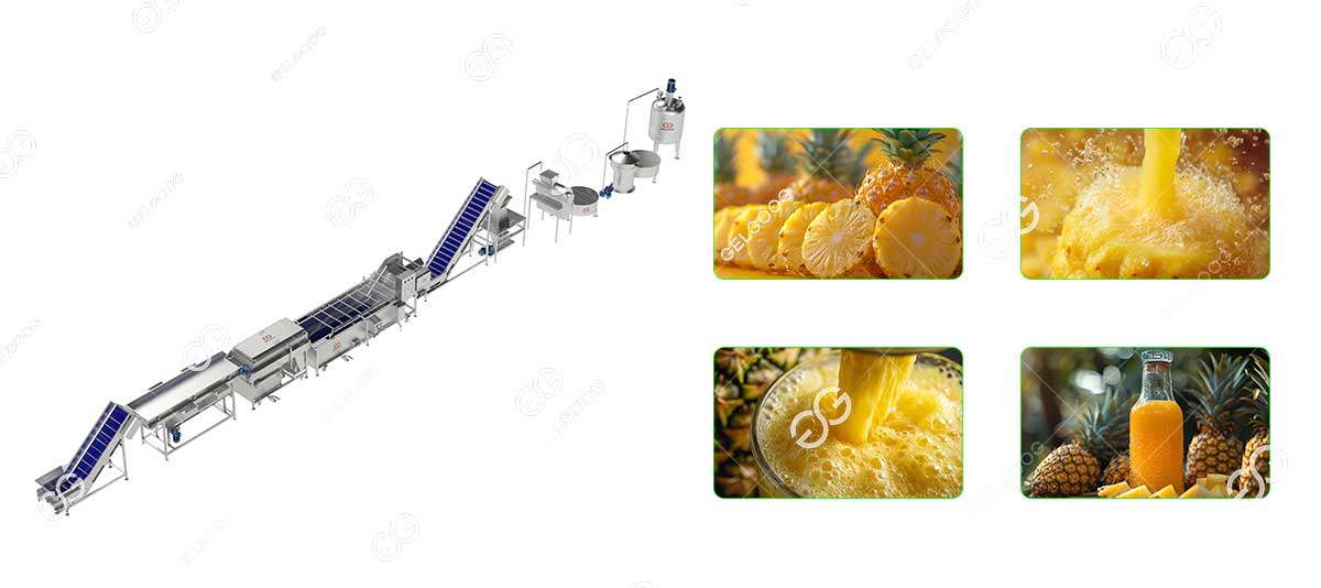 pineapple juice processing line