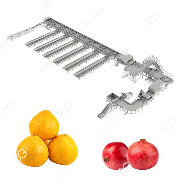 pomegranate grapefruit sorting machine