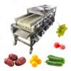 fruit size grading machine