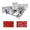 pomegranate washing equipment